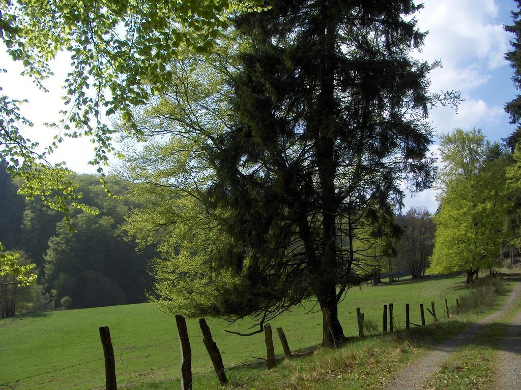 Landhaus Zur Linde Daire Winterberg Oda fotoğraf